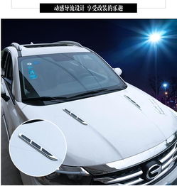 鯊魚腮裝飾 汽車個性改裝中的通風(fēng)美學(xué)
